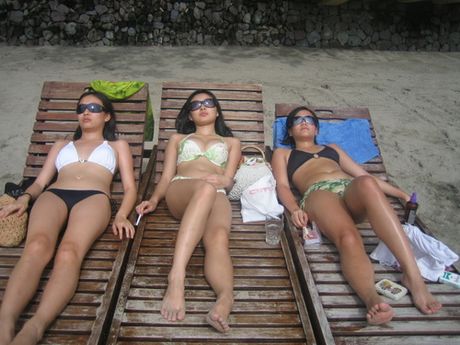 the most random of pictures mix 20